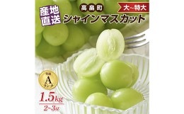 【ふるさと納税】≪先行予約≫2024年 山形県 高畠町産 シャインマスカット 箱詰 1.5kg(2~3房) 2024年9月下旬頃から順次発送 ぶどう ブド