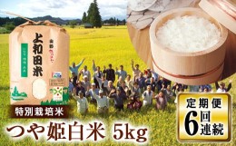 【ふるさと納税】【定期便】山形県 高畠町産 特別栽培米 つや姫 白米 5kg×6回  お米 精米 白米 ブランド米  ごはん ご飯   F20B-226