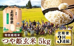 【ふるさと納税】【定期便】山形県 高畠町産 特別栽培米 つや姫 玄米 5kg×3回 お米  ブランド米 米  ごはん ご飯  F20B-223