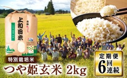 【ふるさと納税】【定期便】山形県 高畠町産 特別栽培米 つや姫 玄米 2kg×6回 お米  ブランド米 米  ごはん ご飯 F20B-218