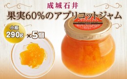 【ふるさと納税】成城石井 果実60%のアプリコットジャム 小瓶 290g×5個 F20B-419