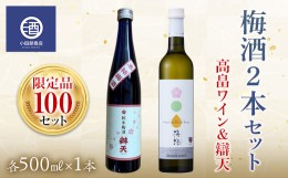 【ふるさと納税】限定品100セット 梅酒2本 高畠ワイン&辯天 500ml 梅酒セット F20B-561