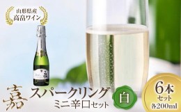 【ふるさと納税】ミニボトル 嘉スパークリングワイン 辛口 200ml×6本セット F20B-687