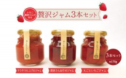 【ふるさと納税】いちご農家さんが作る贅沢ジャム 　３本セット