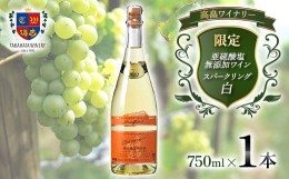 【ふるさと納税】限定 高畠 亜硫酸塩無添加スパークリング ナイアガラ 750ml 高畠ワイナリー 甘口 ワイン 白ワイン 発泡 酒 お酒 アルコ