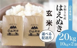 【ふるさと納税】＜令和5年産＞ 鮭川村産 はえぬき 【玄米】 20kg （10kg×2袋）