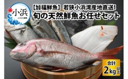 【ふるさと納税】【加福鮮魚】「若狭小浜湾産地直送」旬の天然鮮魚お任せセット！ 計2kg以上 