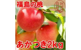 【ふるさと納税】阿部農縁　福島の桃　あかつき2kg(6〜9玉)　ギフト・贈答用　ふくしまの完熟もも【1294009】