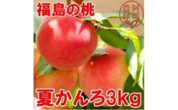 【ふるさと納税】阿部農縁　福島の桃　夏かんろ3kg(10〜12玉)　ギフト・贈答用　ふくしまの完熟もも【1294008】