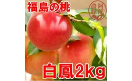 【ふるさと納税】阿部農縁　福島の桃　白鳳2kg(6〜9玉)　ギフト・贈答用　ふくしまの完熟もも【1294011】