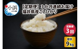 【ふるさと納税】【定期便】 【3か月連続お届け】 【令和5年産】 福井県産 こしひかり 3kg × 3回 