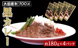 【ふるさと納税】大田原牛 100％ 黒カレー 4パックセット | レトルト カレー 和牛  牛肉 ビーフカレー 高級 