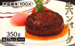 【ふるさと納税】大田原牛 100％ 生ハンバーグ 2パックセット | ブランド 和牛 牛肉 高級 ハンバーグ 自家製 ソース付き