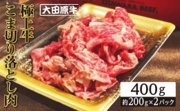 【ふるさと納税】大田原牛 極上牛 こま切り落とし肉（400g）| ブランド 和牛 牛肉 高級 切り落とし 牛丼 