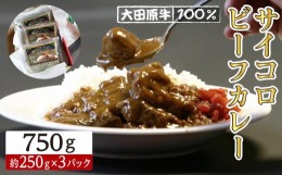 【ふるさと納税】大田原牛 100％ サイコロ ビーフカレー 3パックセット | レトルト カレー 和牛 牛肉 ビーフカレー 高級 