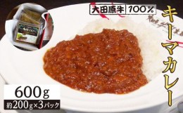 【ふるさと納税】大田原牛 100％ キーマカレー 3パックセット | レトルト カレー 和牛  牛肉  高級 