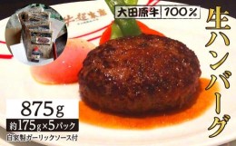 【ふるさと納税】大田原牛 100％ 生ハンバーグ 5パックセット | ブランド 和牛 牛肉 高級 ハンバーグ 自家製 ソース付き