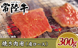 【ふるさと納税】19-05黒毛和牛【常陸牛】焼き肉用300g（肩ロース）