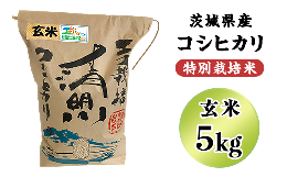 【ふるさと納税】20-20茨城県産コシヒカリ特別栽培米5kg（玄米）【大地のめぐみ】