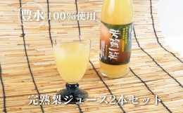【ふるさと納税】梨ジュース2本セット≪ナシジュース 果汁100％ なし ナシ フルーツ 果物 ギフト 贈り物≫