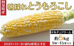 【ふるさと納税】20-23阿見町産朝採れとうもろこし約5kg（ドルチェドリーム・9本〜15本入り）【2024年7月〜8月初旬頃に発送予定】