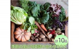 【ふるさと納税】わたね　季節の里山旬菜詰め合わせＢＯＸ（計１０品）≪ギフト セット 野菜 無農薬 グルメ≫※着日指定不可