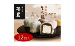 【ふるさと納税】御菓子司柏屋の看板製品　生大福　12個入【1284869】