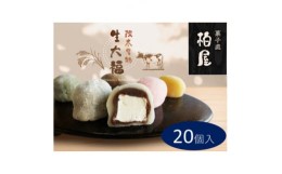 【ふるさと納税】御菓子司柏屋の看板製品　生大福　20個入【1284867】