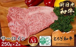 【ふるさと納税】とちぎ和牛・前日光和牛（サーロイン250g 2枚）｜肉 お肉 和牛 最高級 A5ランク A5等級 ステーキ