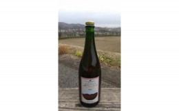 【ふるさと納税】山雫ブランノワール：地元産ぶどう100％使用したスパークリングワイン（白・750ml）