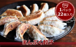 【ふるさと納税】まんぷく餃子 １パック22個入り