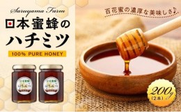 【ふるさと納税】日本蜜蜂のハチミツ100％！はちみつ（2本）  高級 自然食品 無添加 ニホンミツバチ