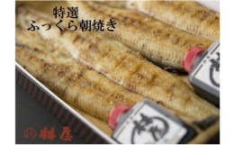 【ふるさと納税】ＡＦ−１　【定期便・年６回】特選ふっくら朝焼きうなぎ　林屋（白焼き大３尾） 偶数月発送