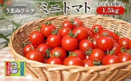 【ふるさと納税】＜特別栽培農産物＞ファームサイドのこだわりミニトマト (1.5kg) 野菜 トマト ミニトマト 特別栽培 農産物 サラダ 生食 