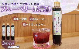 【ふるさと納税】KT004 ＜果実と粗糖だけで作ったお酢＞飲むブルーベリー果実酢　3本セット ふるさと納税 ブルーベリー お酢 酢 健康 美