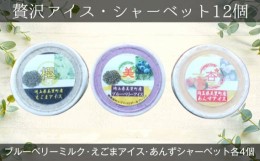 【ふるさと納税】【美里町特産品使用】贅沢アイス・シャーベット12個セット（3種類：えごま・ブルーベリー＆えごま・あんず） [No.045]