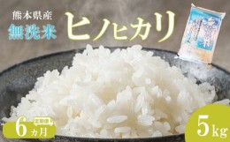 【ふるさと納税】【定期便6回】 無洗米 ひのひかり 5kg 熊本県産 | 米 こめ お米 おこめ 白米 精米 ヒノヒカリ 熊本県 玉名市 定期 定期