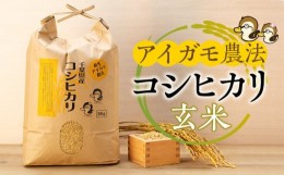 【ふるさと納税】A03-002 アイガモ農法によるお米（玄米16.5kg）