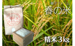 【ふるさと納税】＼令和5年産 新米／ 春の米 精米／3kg 