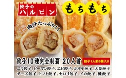 【ふるさと納税】No.108 餃子10種完全制覇　20人前＜餃子のハルピン＞ ／ ぎょうざ ギョーザ 中華 東京都