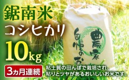 【ふるさと納税】【お米の定期便】令和5年度産 新米 鋸南米コシヒカリ10kg精米 3ヶ月連続 F22X-106