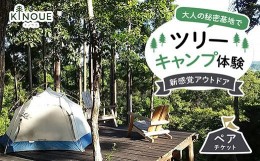 【ふるさと納税】新感覚アウトドア・大人の秘密基地でツリーキャンプ体験 ペア（チケット）F21G-154