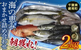 【ふるさと納税】朝獲れ！海の恵みおまかせ詰め合わせセット 2kg F22X-114