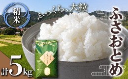 【ふるさと納税】令和5年産米 新米 ふさおとめ 精米 5kg （5kg×1袋）白米 お米 ご飯 米 千葉県 鋸南町 F22X-138