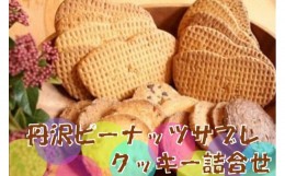 【ふるさと納税】011-22丹沢ピーナッツサブレ・クッキー詰合せ（18枚入）