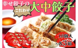 【ふるさと納税】016-06幸せ餃子のボリューム満点こだわり大・中餃子（各3箱）