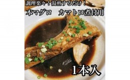 【ふるさと納税】？本マグロのカマトロの煮付け 1本【生から湯煎で仕上げる】【本鮪 鮪 煮物 日本酒 焼酎 お取り寄せ 希少部位 御中元 お