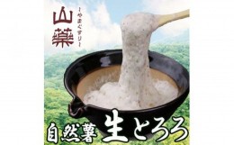 【ふるさと納税】自然薯の味をお楽しみください。自然薯生とろろ100ｇ×５ｐセット【とろろ 極上とろろ 山芋 箱根 お家用 家庭用 国産 セ