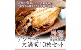 【ふるさと納税】【水産事業者を応援しよう！】一番人気、小田原の魚「アジ」をたっぷり楽しめます。小田原干物　アジ１０枚セット【アジ