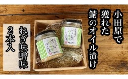 【ふるさと納税】 ・鯖のオイル漬け【ねぎ味噌×2本】【 惣菜 鯖 サバ 海鮮 魚介 ふりかけ おつまみ お取り寄せ 御中元 お中元 お歳暮 父